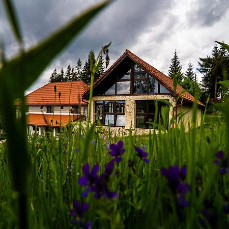 Pensiunea Romconcord Balcesti Esterno foto
