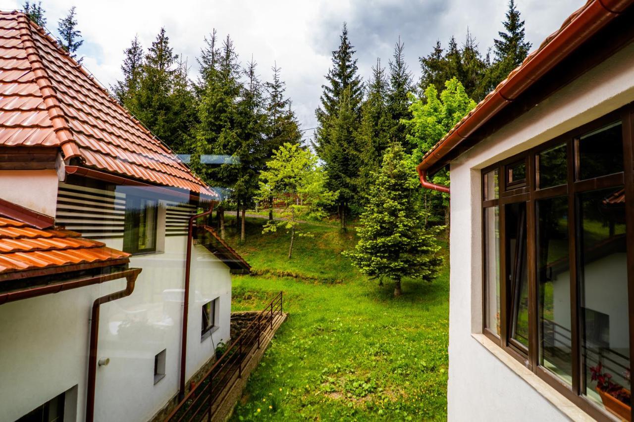Pensiunea Romconcord Balcesti Esterno foto