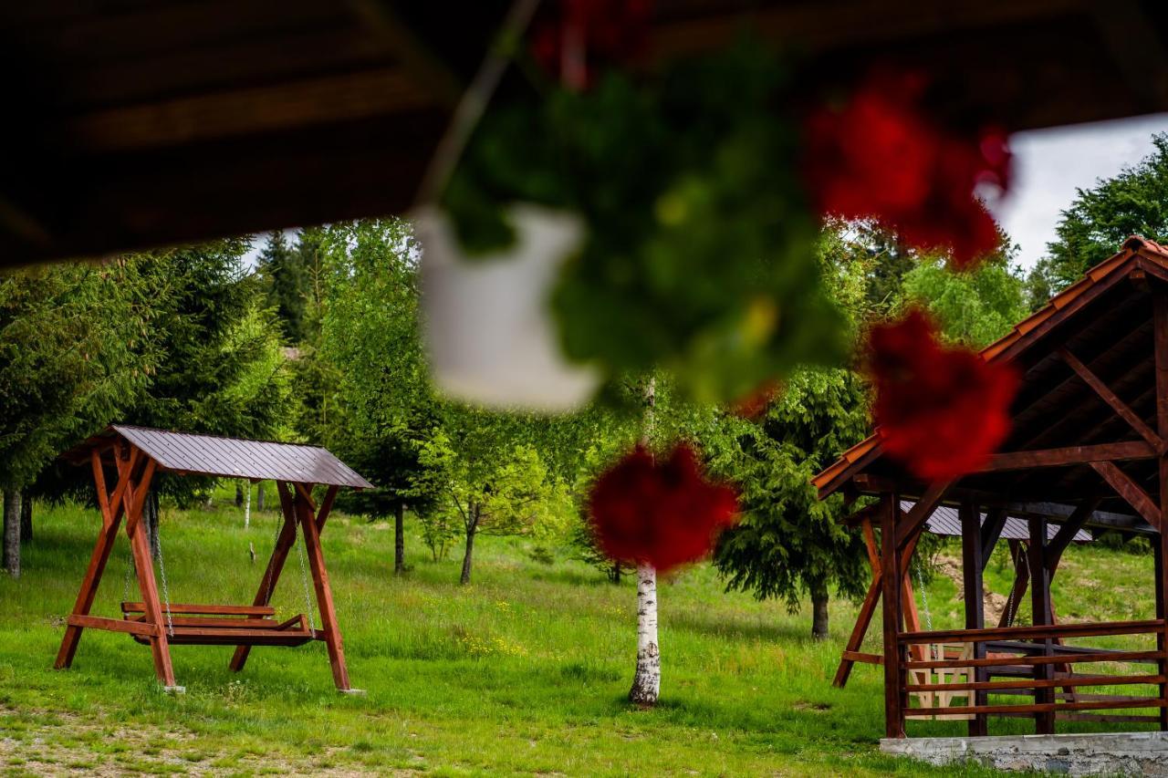 Pensiunea Romconcord Balcesti Esterno foto